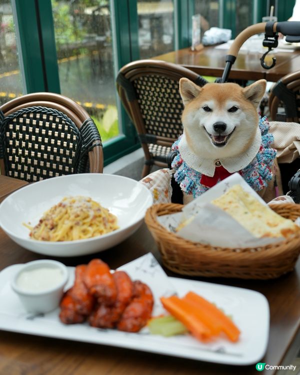 🏛️百年歷史建築·山頂美食時光 🍝