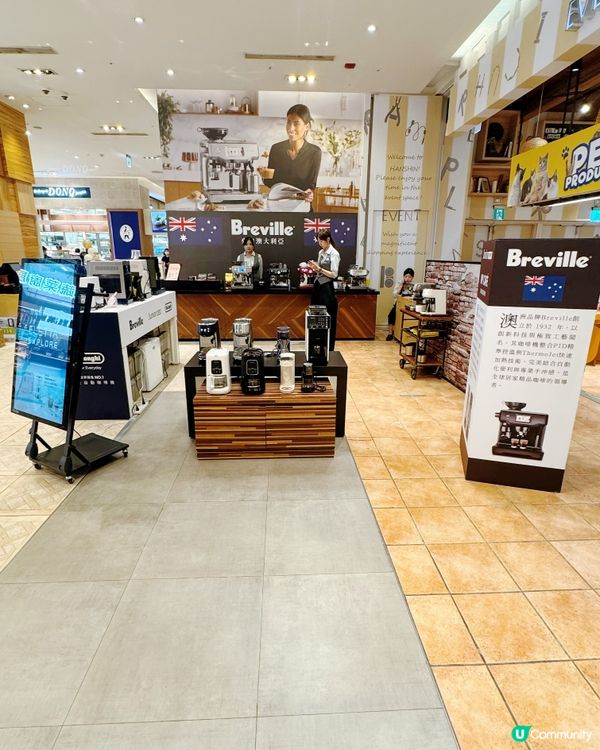 八月快閃店一覧✨