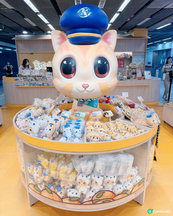 必打卡蜜柑🐈站長爆萌之旅🐾
