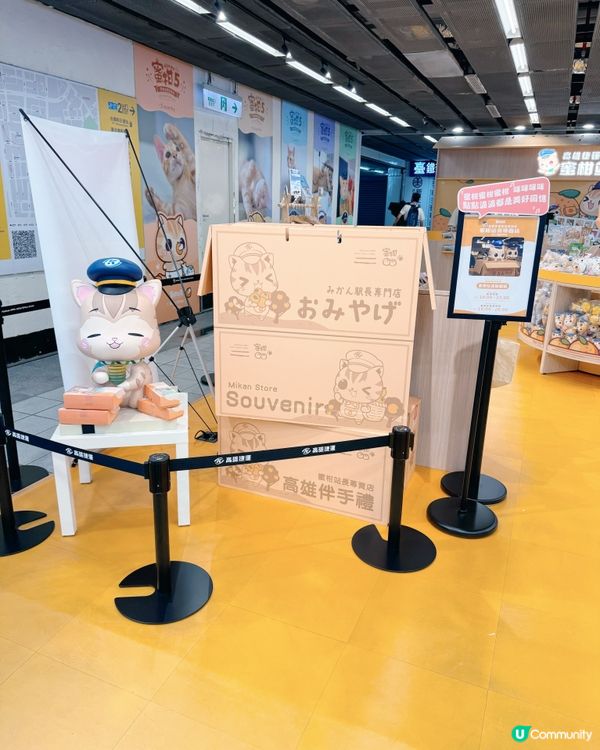 必打卡蜜柑🐈站長爆萌之旅🐾