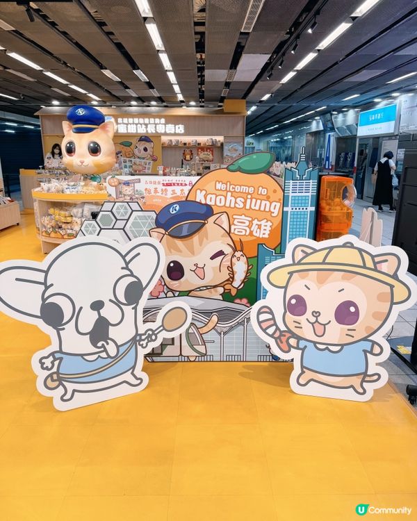 必打卡蜜柑🐈站長爆萌之旅🐾