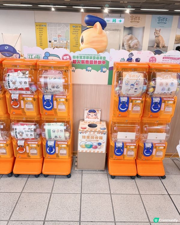 必打卡蜜柑🐈站長爆萌之旅🐾