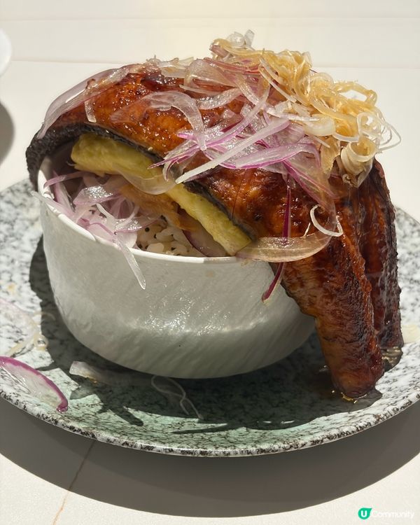 大熱三文魚麵‼️超吸引鰻魚玉子丼
