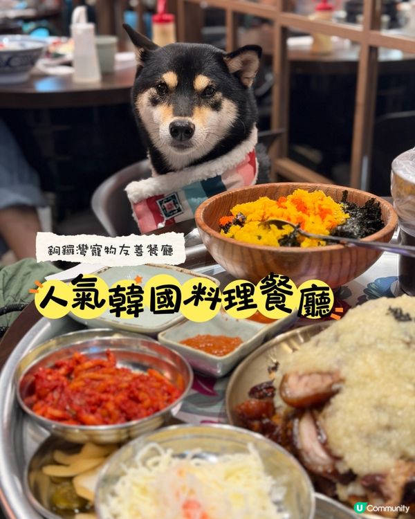 銅鑼灣寵物友善韓國料理餐廳 🇰🇷🐶