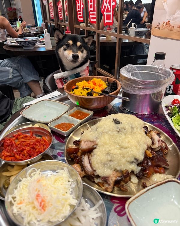 銅鑼灣寵物友善韓國料理餐廳 🇰🇷🐶