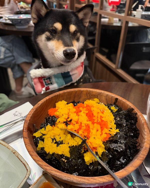 銅鑼灣寵物友善韓國料理餐廳 🇰🇷🐶