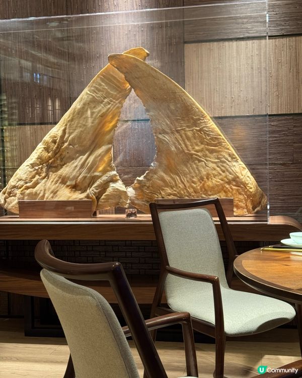 💖 遨凱酒店食乜好？睇呢度！🥢