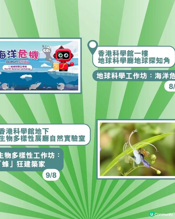 🏛️博物館精華遊|8月免費活動合集|暑假尾必收藏