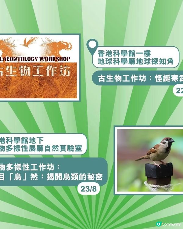 🏛️博物館精華遊|8月免費活動合集|暑假尾必收藏