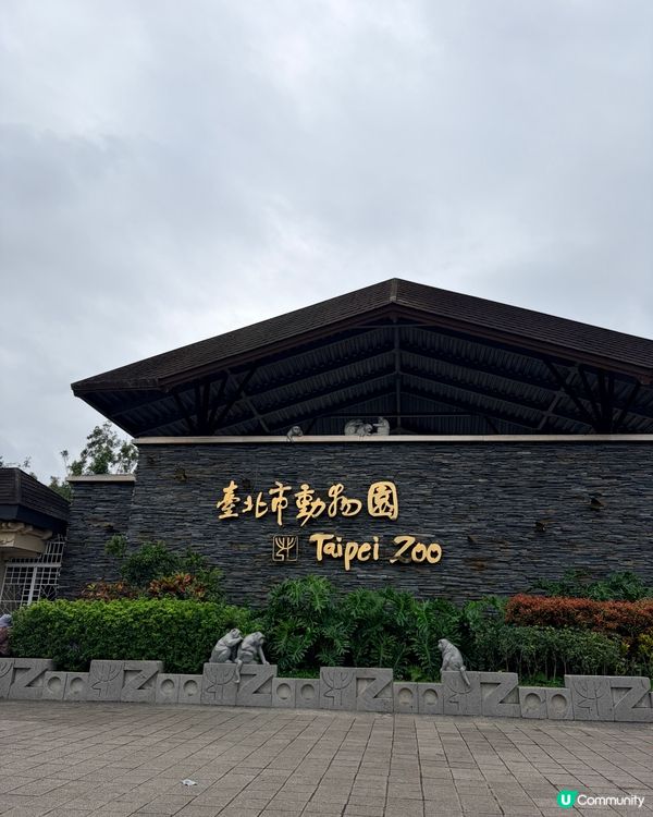 勁抵！台北動物園值回票價 🐒🌳