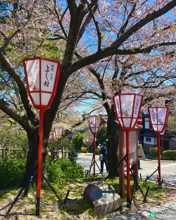 金澤兼六園周邊傳統日式建築