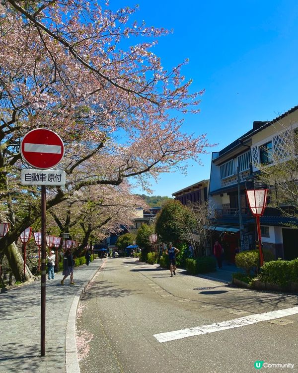 金澤兼六園周邊傳統日式建築