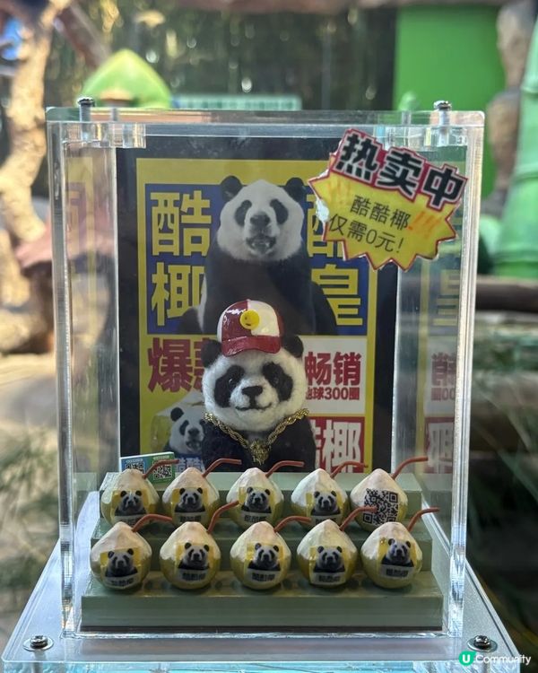 🤩 超出預期，真心值得！