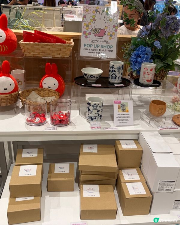 銅鑼灣Miffy花漾夏日展！🌸🌿 📸✨
