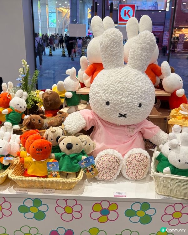 銅鑼灣Miffy花漾夏日展！🌸🌿 📸✨