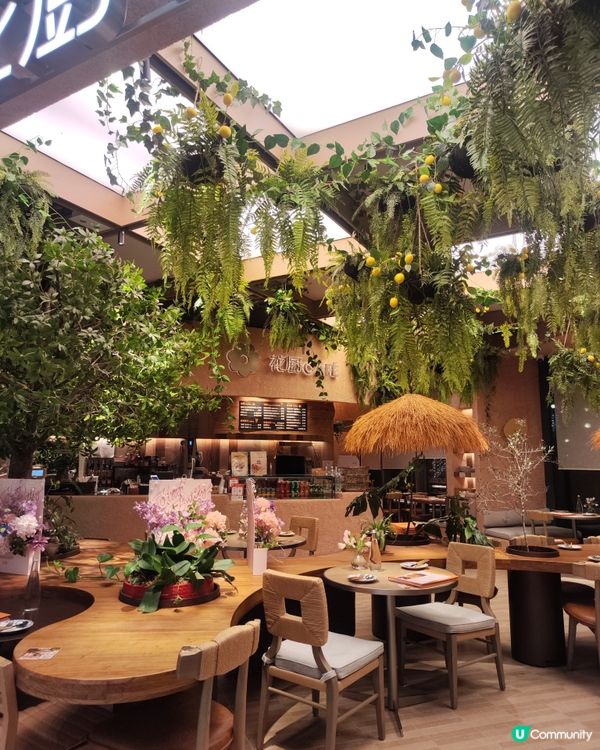 啟德 cafe 🌳超有feel！📸