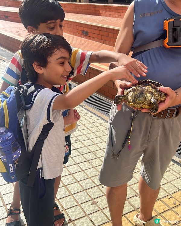 可愛烏龜🐢🥰