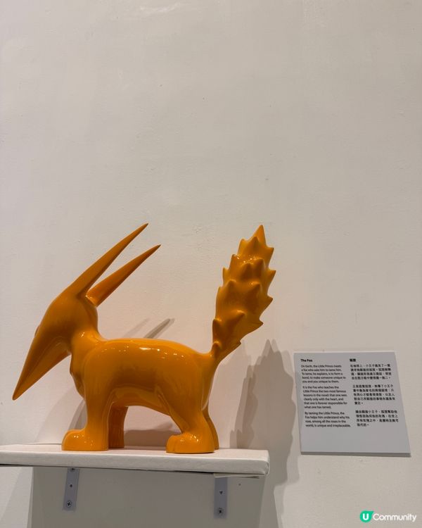 限時必去《小王子》展免費入場！🌟