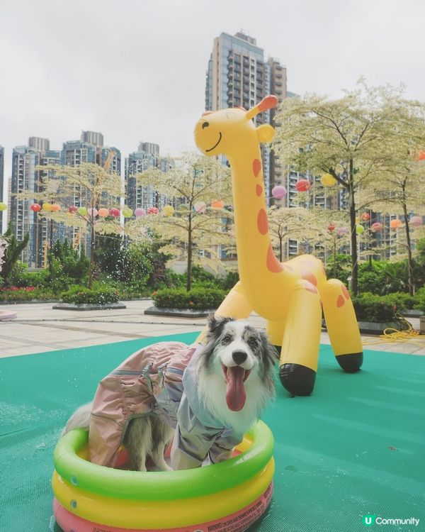 將軍澳中心 🐾 PAW PAW 狂歡夏水禮 💦☀️