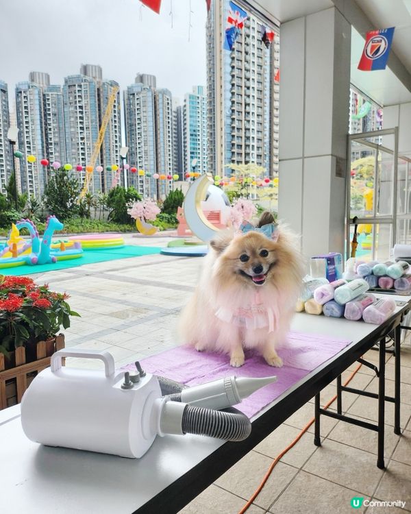 將軍澳中心 🐾 PAW PAW 狂歡夏水禮 💦☀️