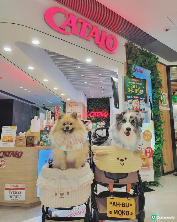 將軍澳中心 🐾 PAW PAW 狂歡夏水禮 💦☀️