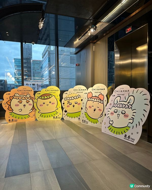 😋可愛上船,任人魚肉回程大收穫