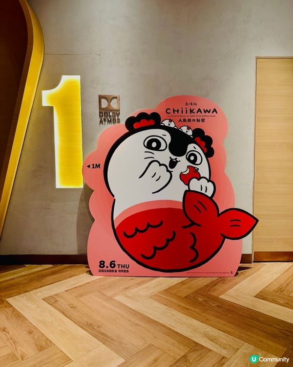 😋可愛上船,任人魚肉回程大收穫