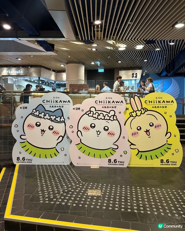 😋可愛上船,任人魚肉回程大收穫