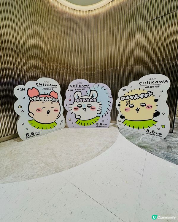 😋可愛上船,任人魚肉回程大收穫