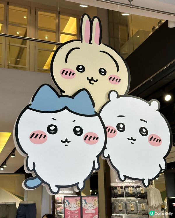😋可愛上船,任人魚肉回程大收穫