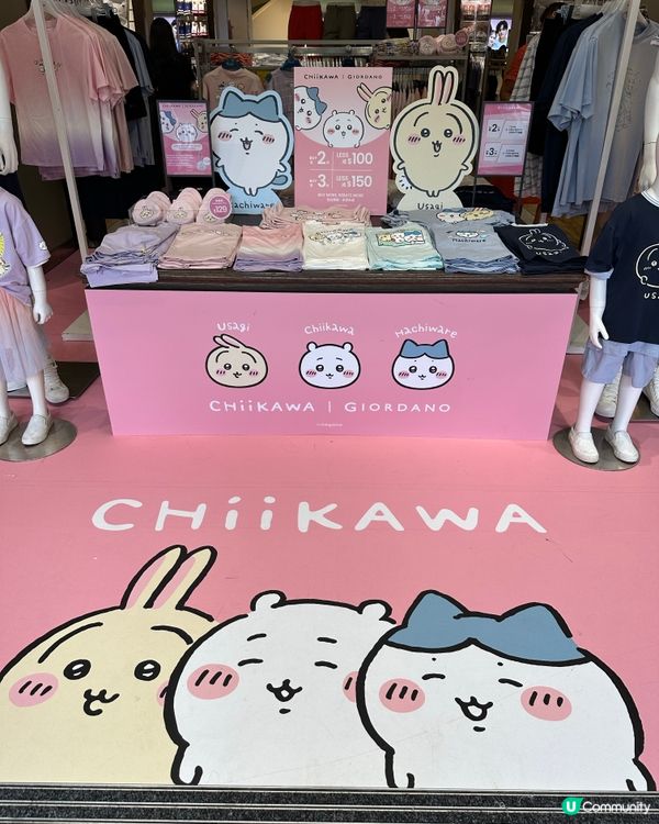 店面都係小可愛們～
