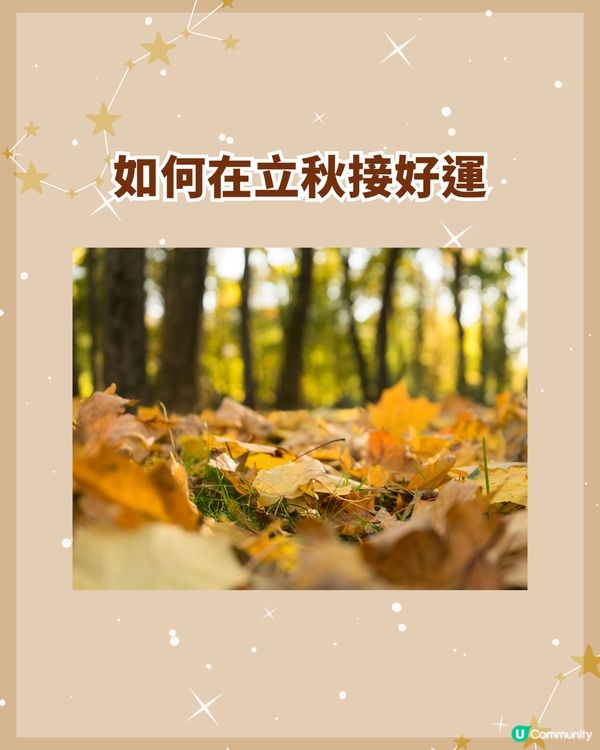 7/8-22/8立秋節氣到🍂3生肖氣場財運大翻盤💰食「1類食物」納福運勢更旺！