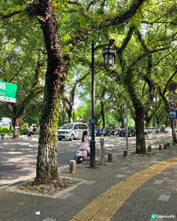 桂林自由行 X 象鼻山公園 X 正陽街日與夜 X 東西巷的早晚 @ 桂林香格里拉酒店 ( 桂林 )
