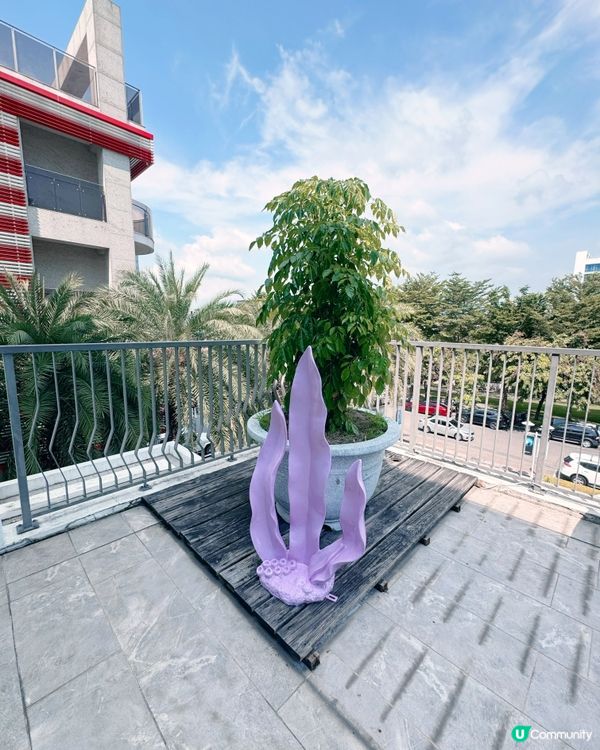 潛立方旅館美食與潛水全新體驗