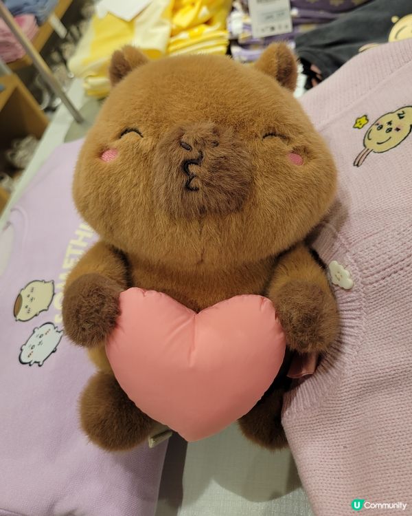 cute 😍水豚