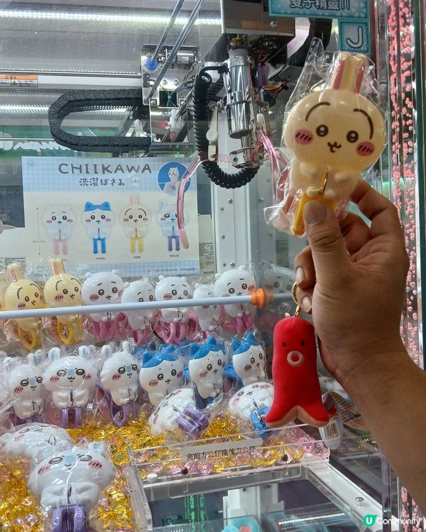 #Chill賞收藏可愛Usagi係好活潑好動嘅兔兔，有佢係度...