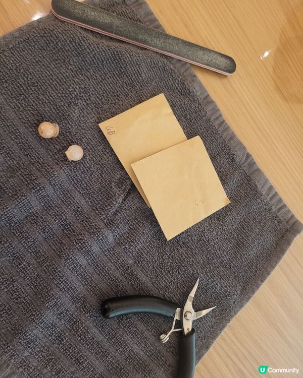 廚餘首飾升級再造工作坊體驗 💎