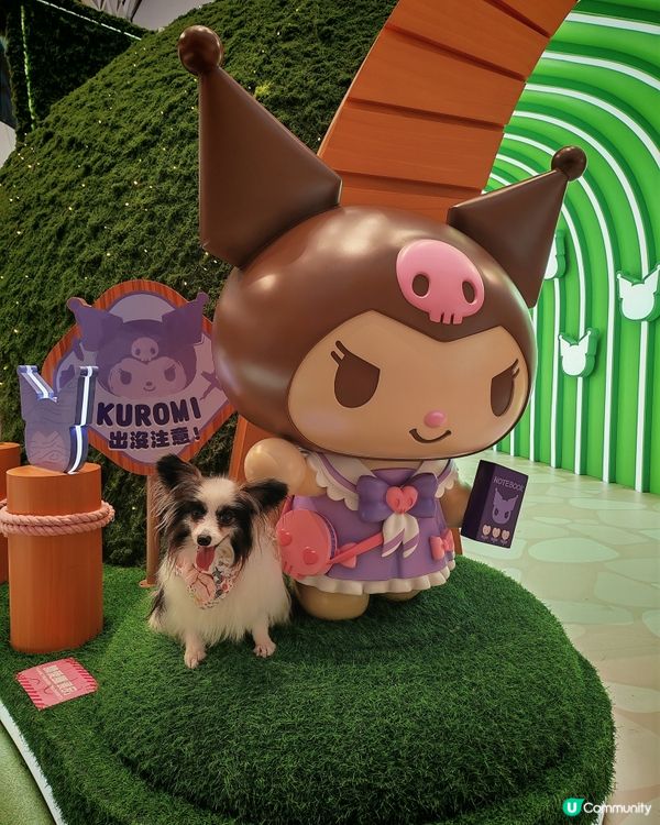 Sanrio characters x YOHO小麥肌旅行團
