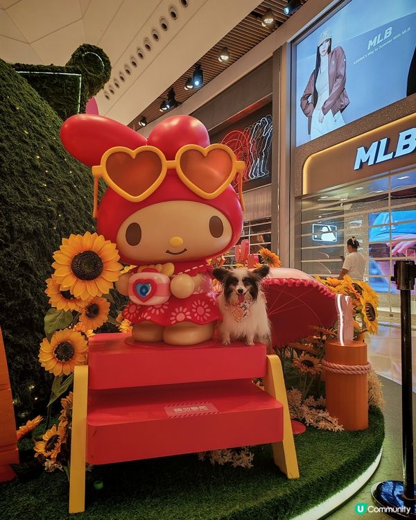 Sanrio characters x YOHO小麥肌旅行團