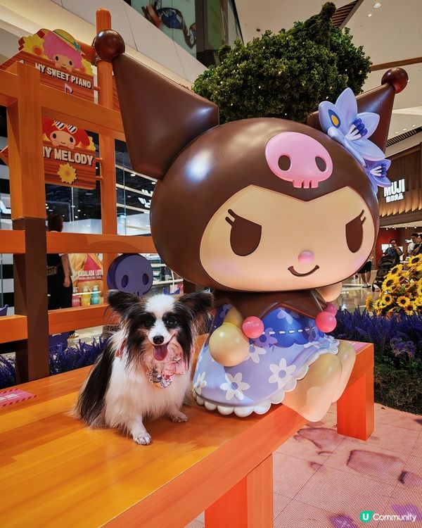 Sanrio characters x YOHO小麥肌旅行團