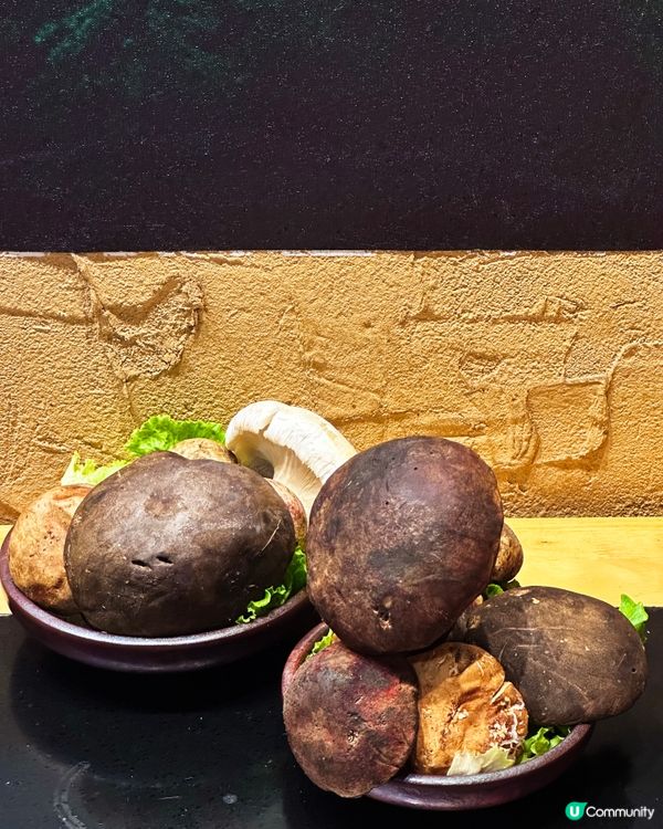 大理古城必食 野生菌火鍋圍爐烤肉