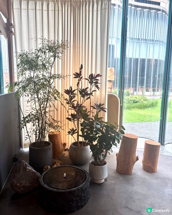 台灣第一名奶茶登陸尖沙咀！🧋✨