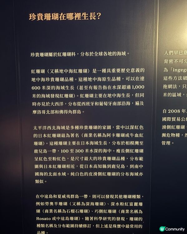 期間限定❗️鬧市中的展覽❕❕