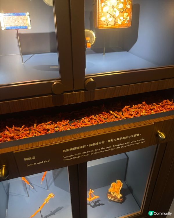 期間限定❗️鬧市中的展覽❕❕