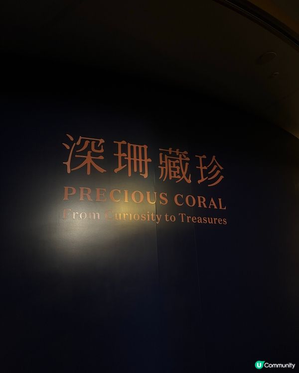 期間限定❗️鬧市中的展覽❕❕