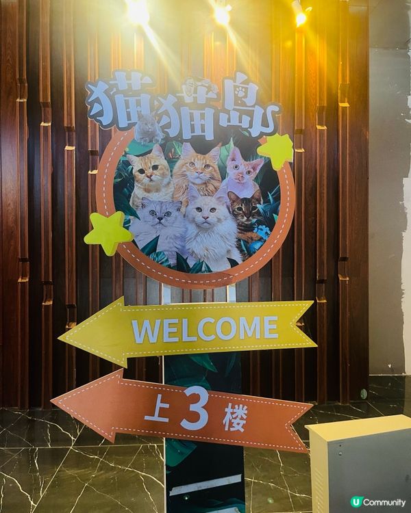貓奴天堂！七百隻主子任擼😍 🐾