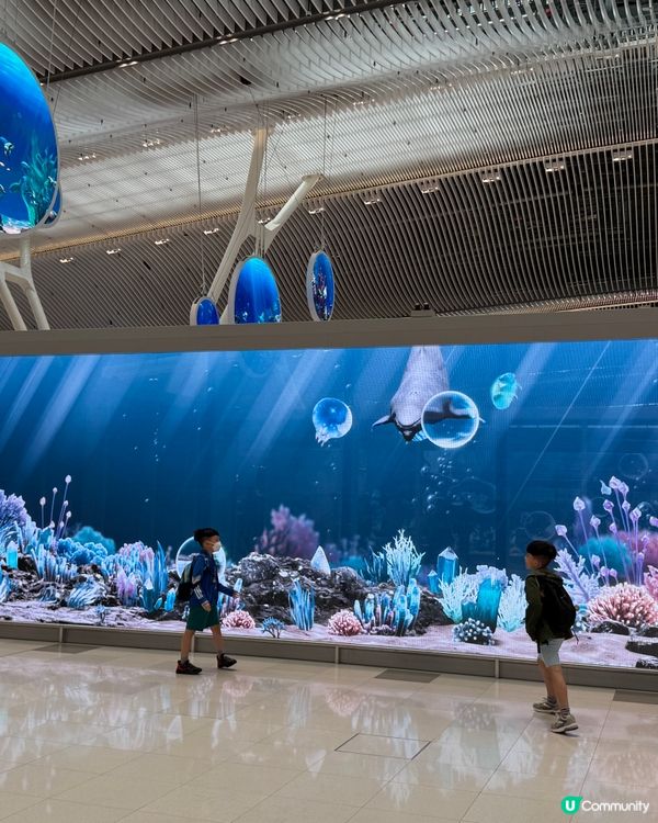 機場T2 海底世界咁靚🐠🪼
