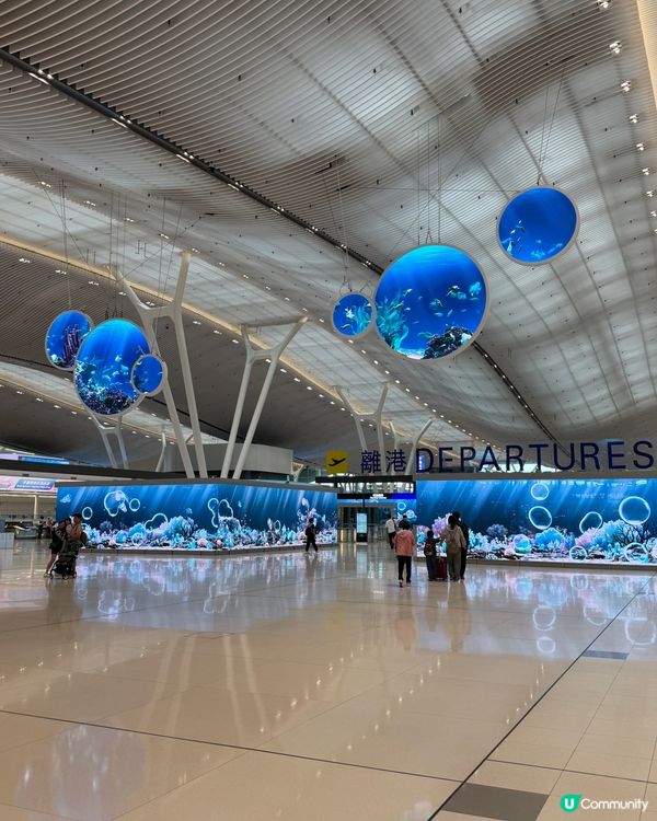 機場T2 海底世界咁靚🐠🪼