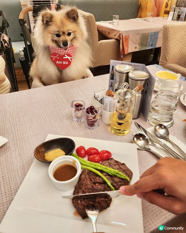 同毛孩一齊嘆 Semi Buffet🍽️
