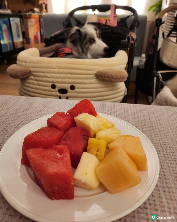 同毛孩一齊嘆 Semi Buffet🍽️